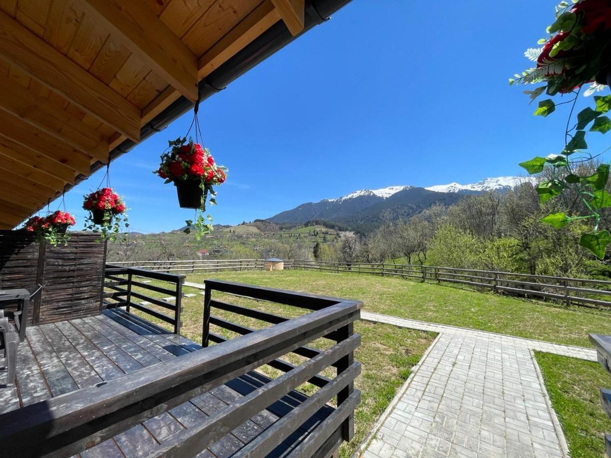 Merida Apartment Bran (Brasov)