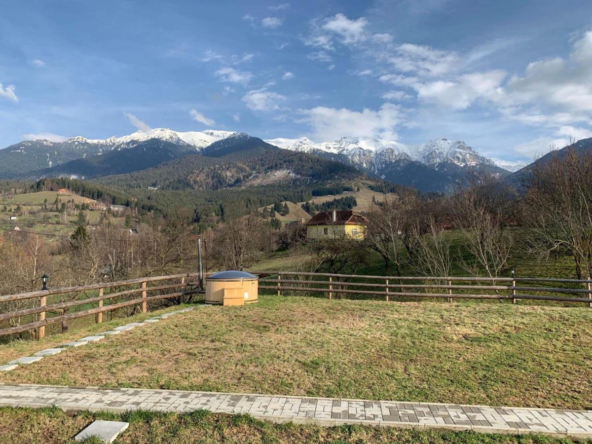Apartment Merida Bran (Brasov)