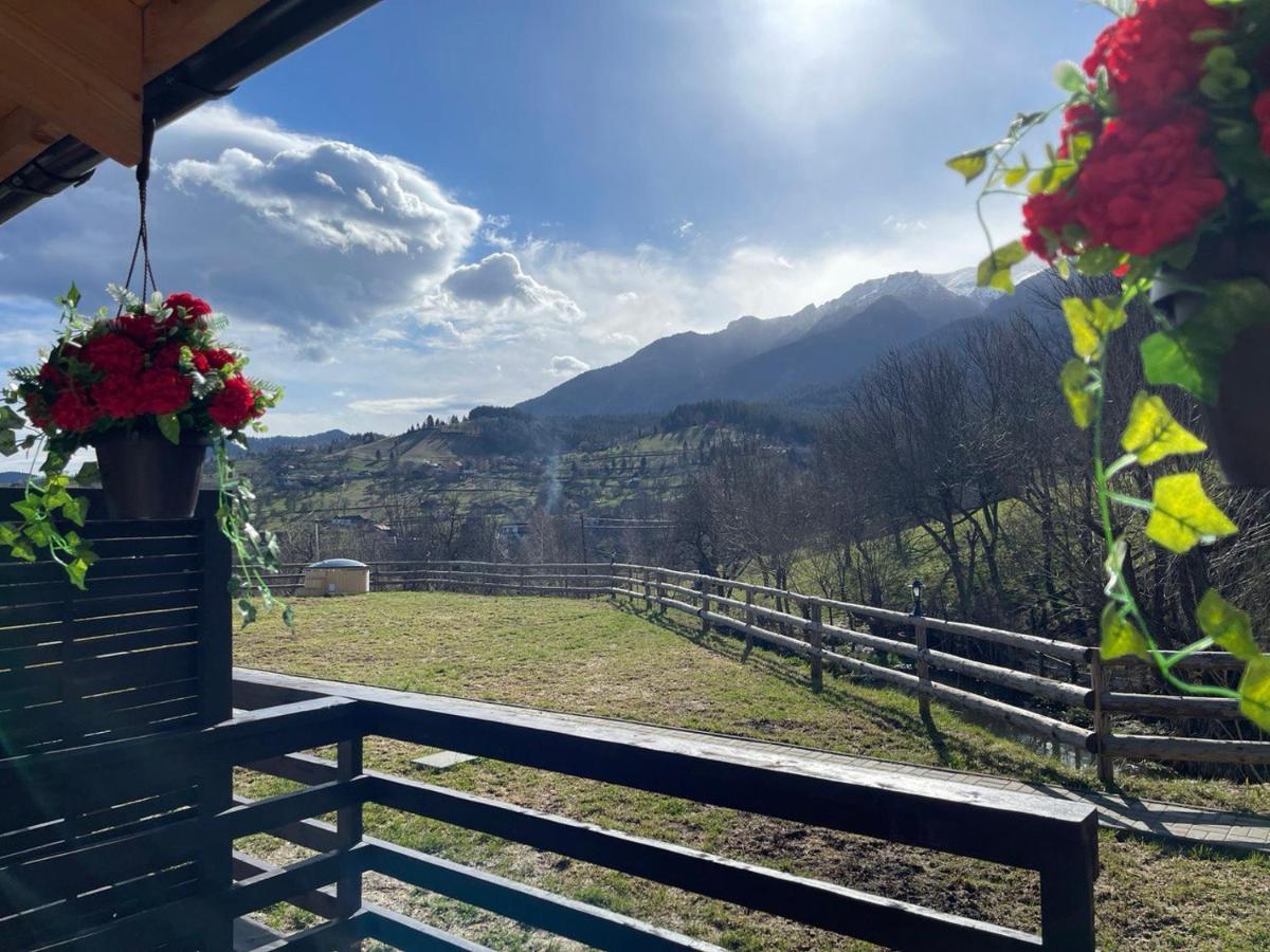 Merida * Bran (Brasov)