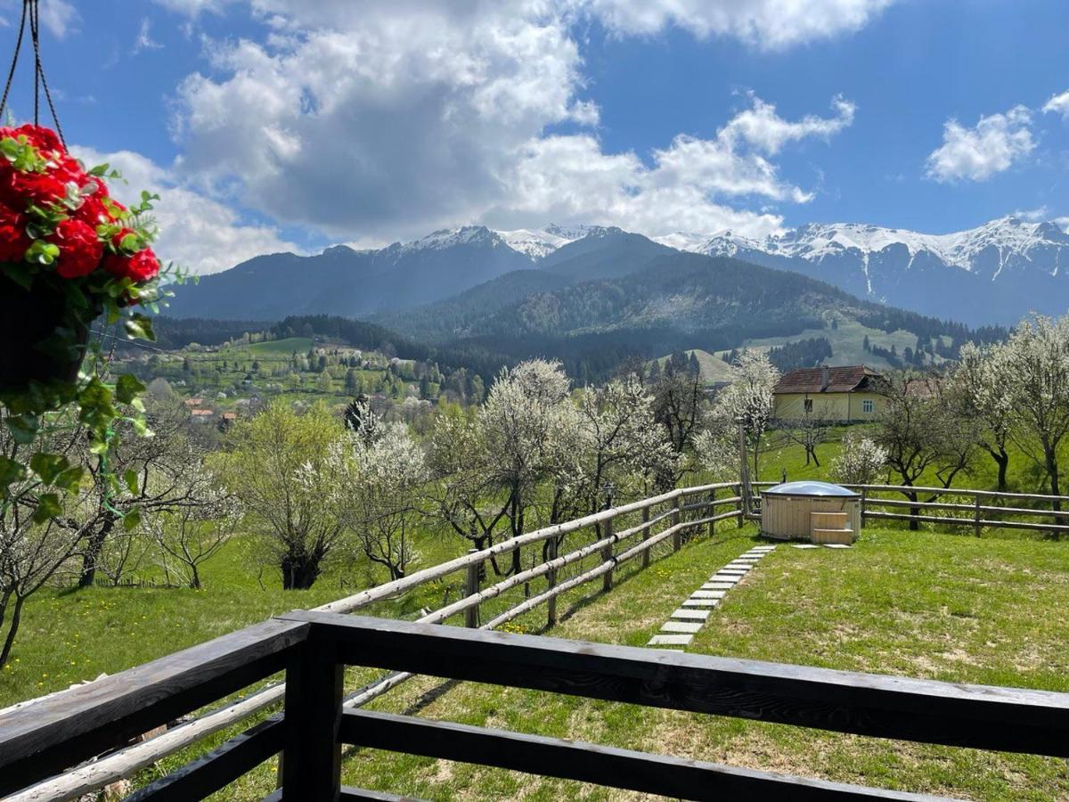 Apartment Merida Bran (Brasov)