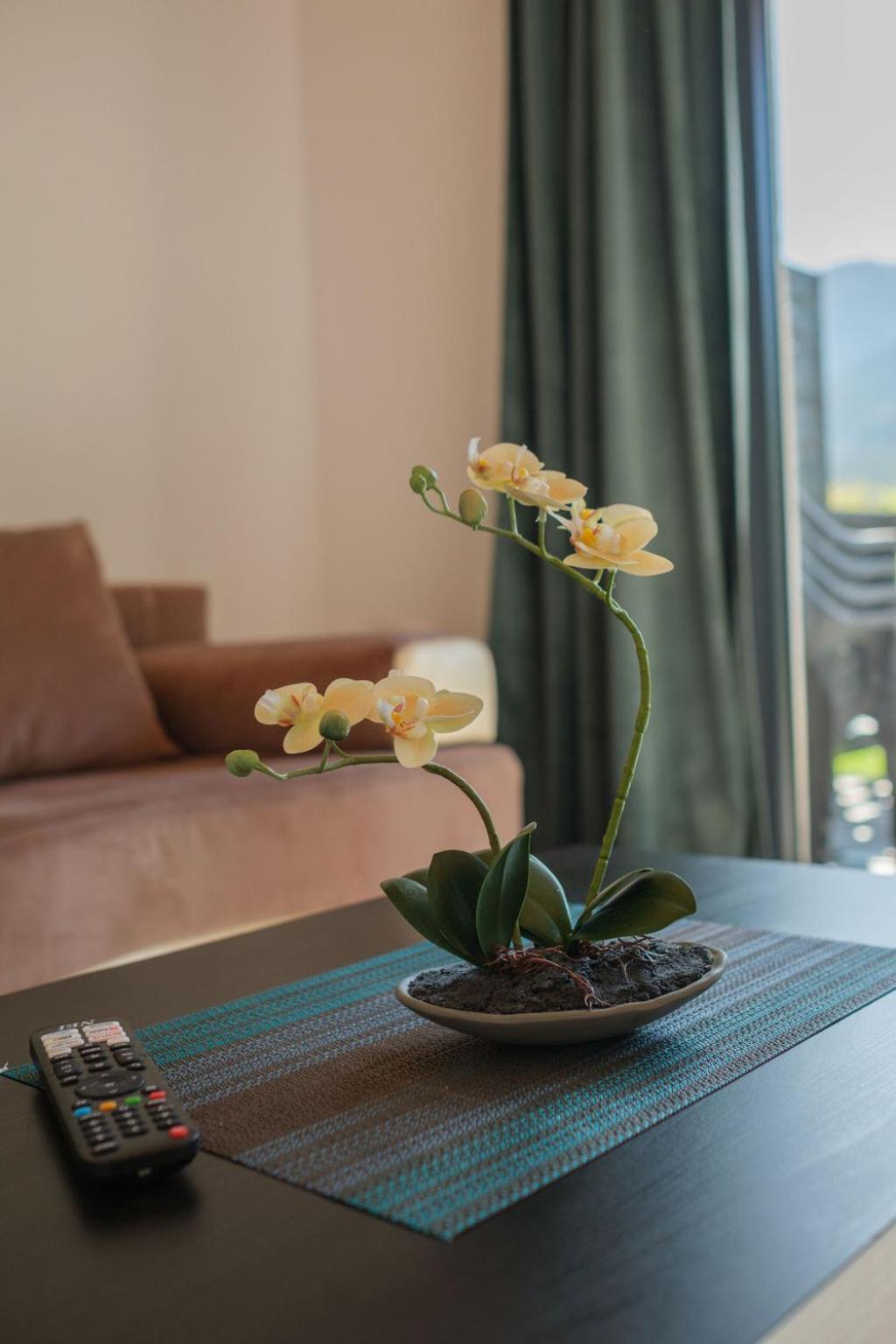 Merida Apartment Bran (Brasov)